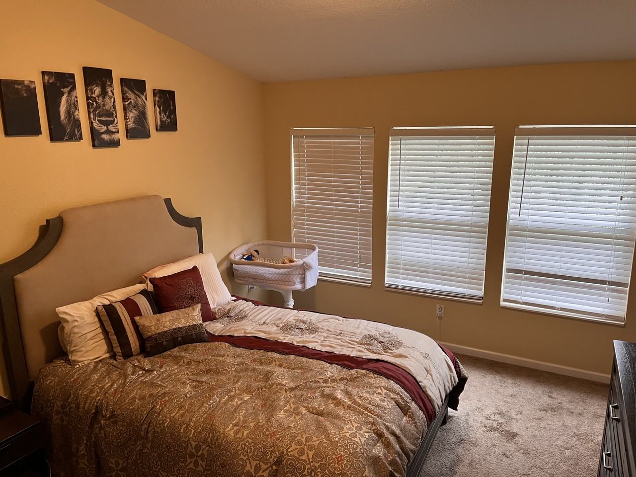 6856 Sperone St - Photo 2 of 5