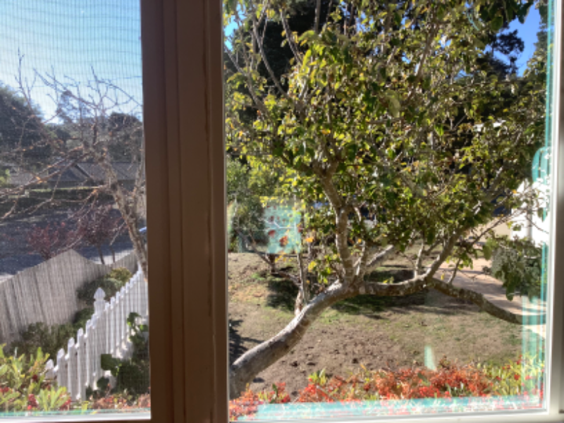 132 Stephen Pl - Photo 3 of 33