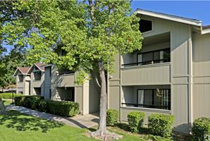 featured image of 3825 Little Rock Dr