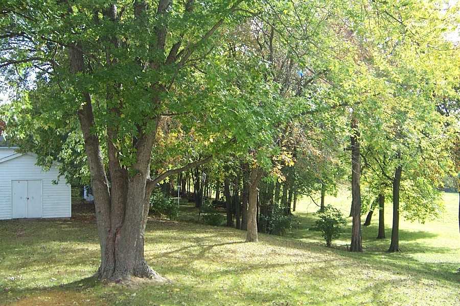 1483 W Greendell Dr - Photo 2 of 12