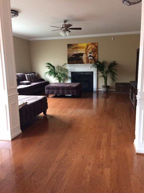 1416 Beech Hollow Ct - Photo 2 of 11