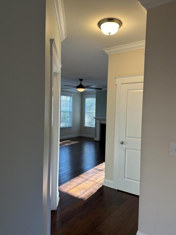 2491 Orchid Dr - Photo 3 of 28