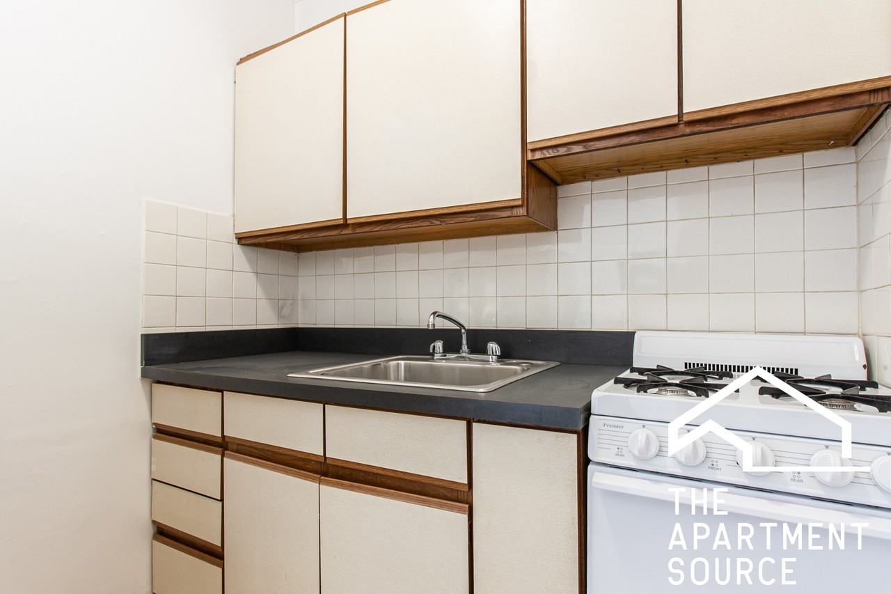 515 W Briar Pl #408 - Photo 4 of 13