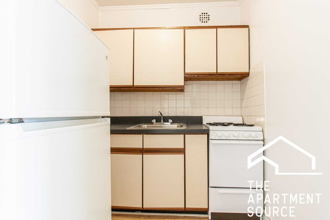 515 W Briar Pl #408 - Photo 5 of 13