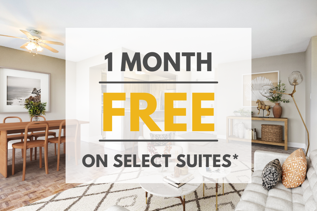 Apartments for Rent In High Park, Toronto, ON Find 30 Condos & Other