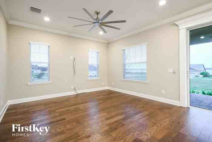 252 Pine Lilly Ct - Photo 3 of 16