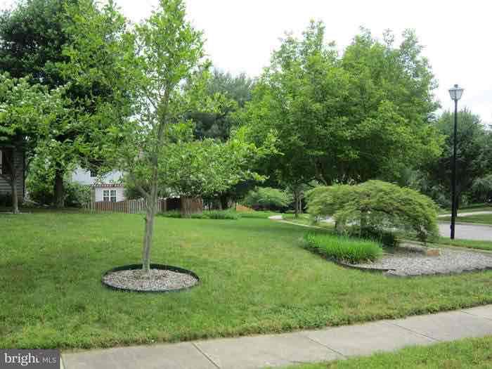 16401 Andrea Ct - Photo 4 of 23