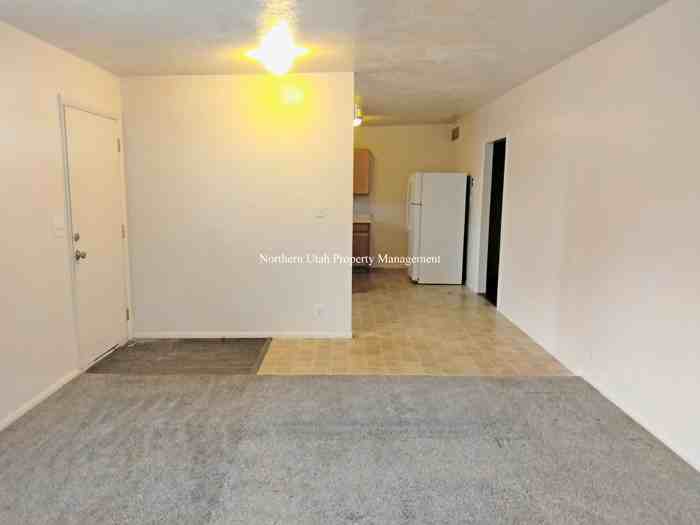 525 E Mac Ln - Photo 3 of 12