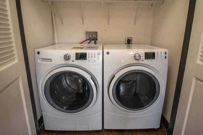 The Fox - Photo 5 of 49