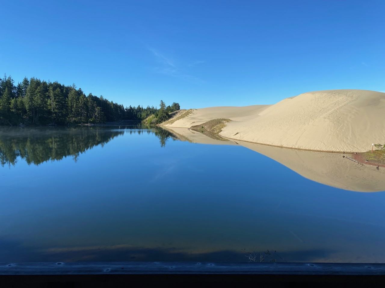 88339 Collard Lake Rd #NA - Photo 2 of 16