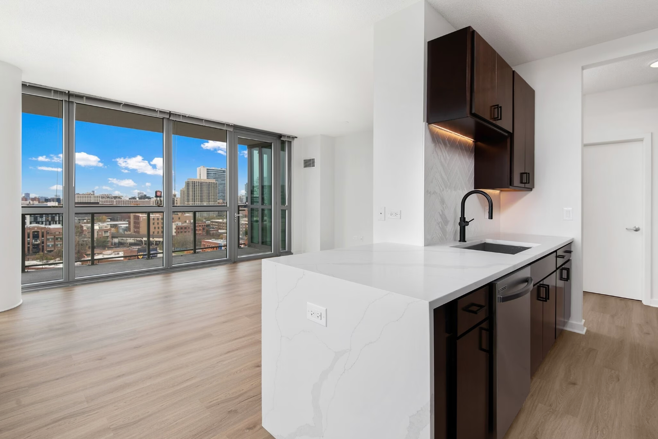 359 N Halsted St #1302