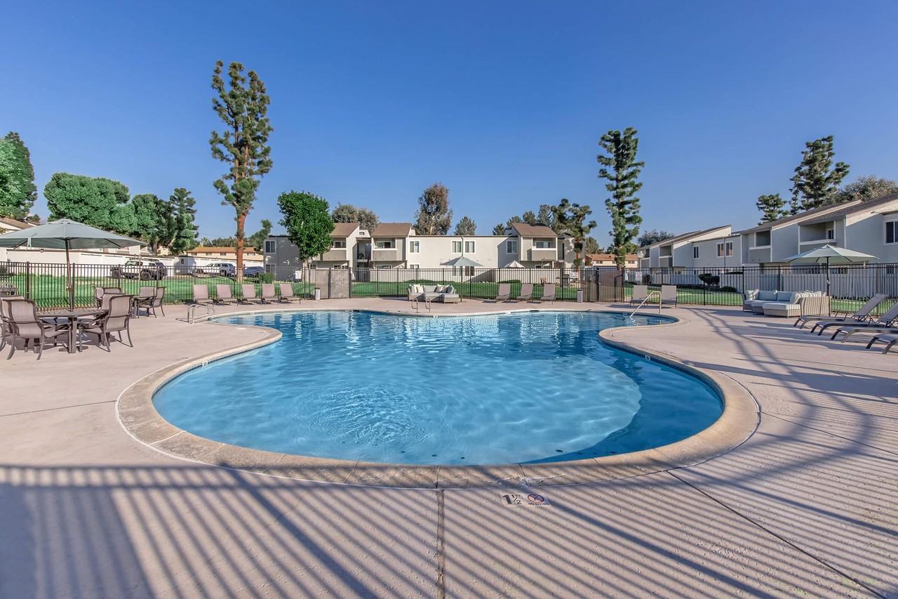 Plum Tree - Photo 3 of 50