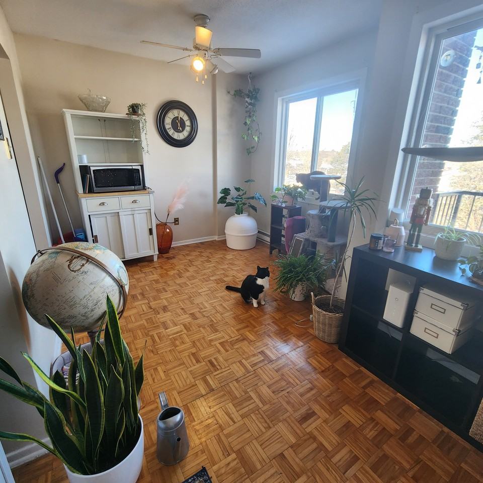 2041 Arrowsmith Drive - Photo 15