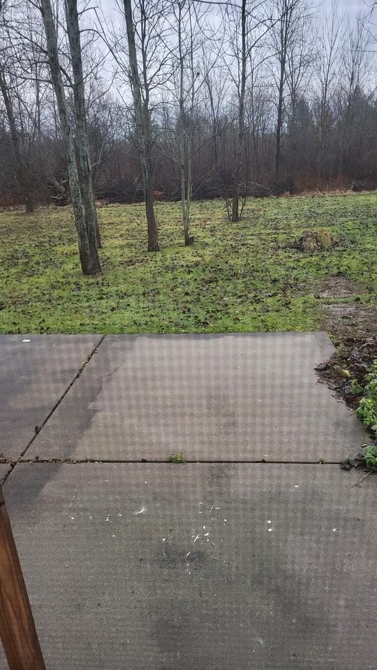 6481 Goodrich Rd #LHS - Photo 2 of 13