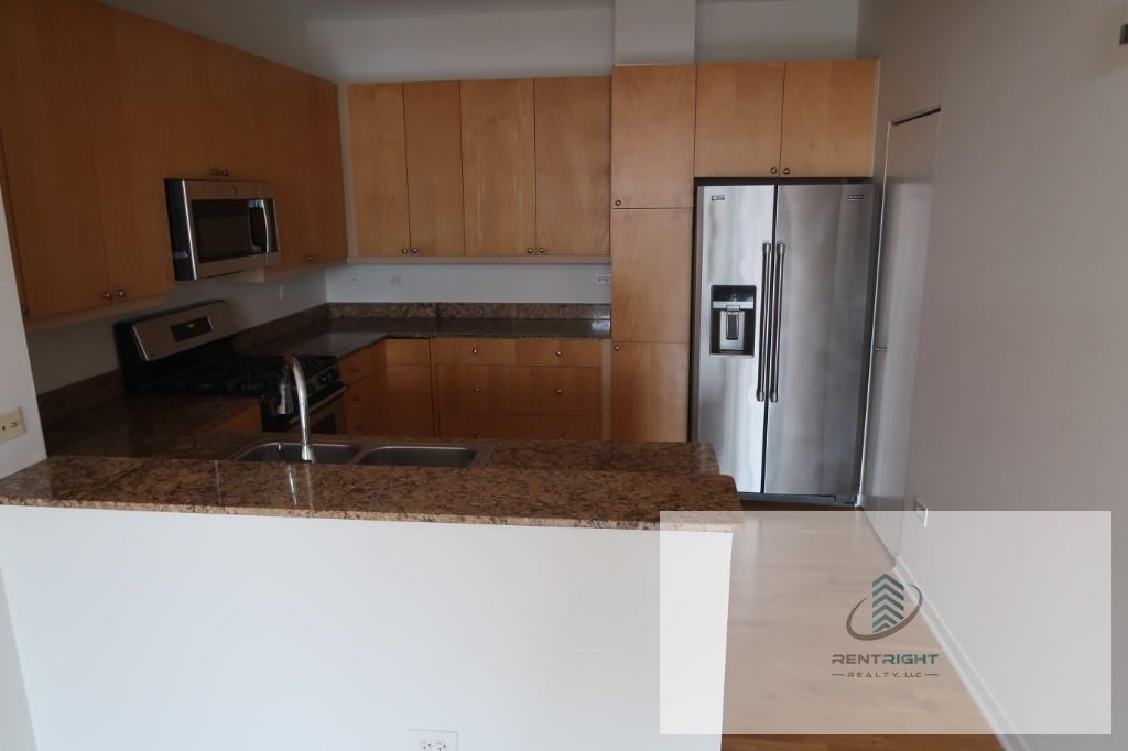 1546 N Orleans St #701 - Photo 2 of 20