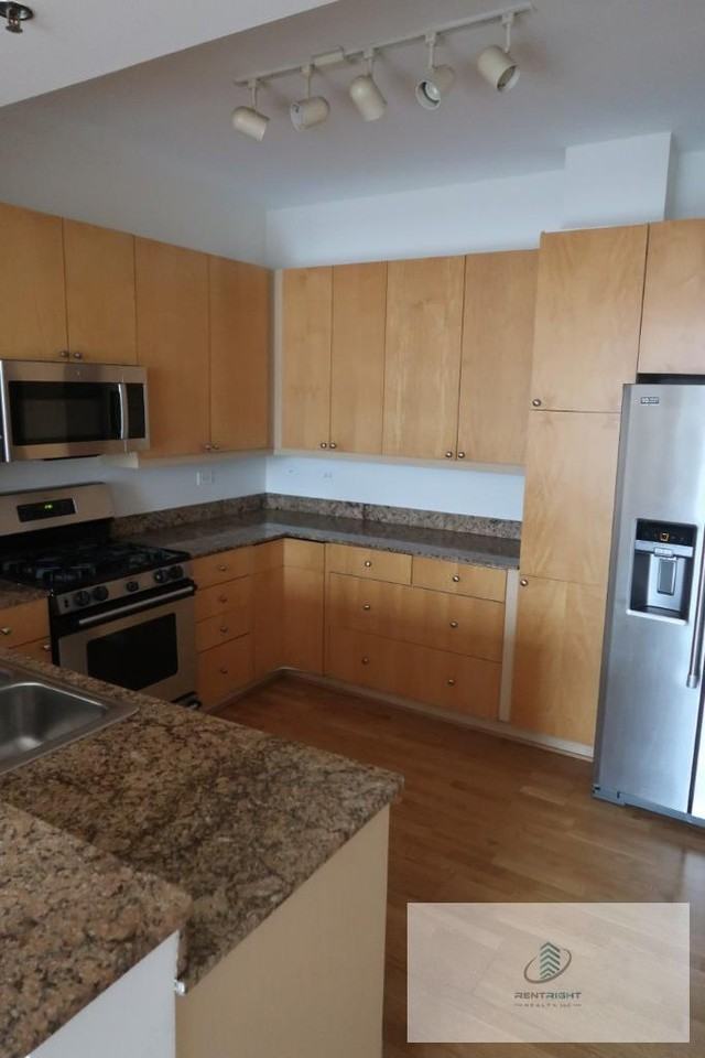 1546 N Orleans St #701 - Photo 3 of 20