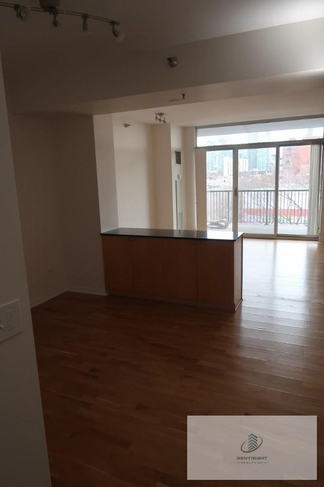 1546 N Orleans St #701 - Photo 4 of 20