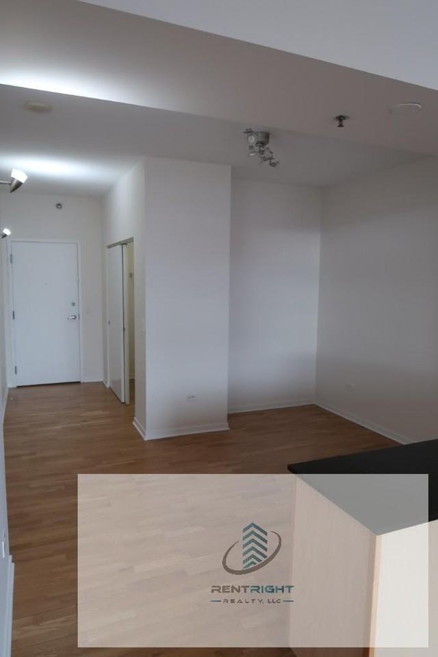 1546 N Orleans St #701 - Photo 5 of 20