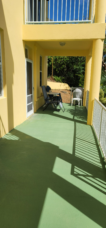 11-30 Peterborg Sydney'S Fancy - Photo 2 of 16