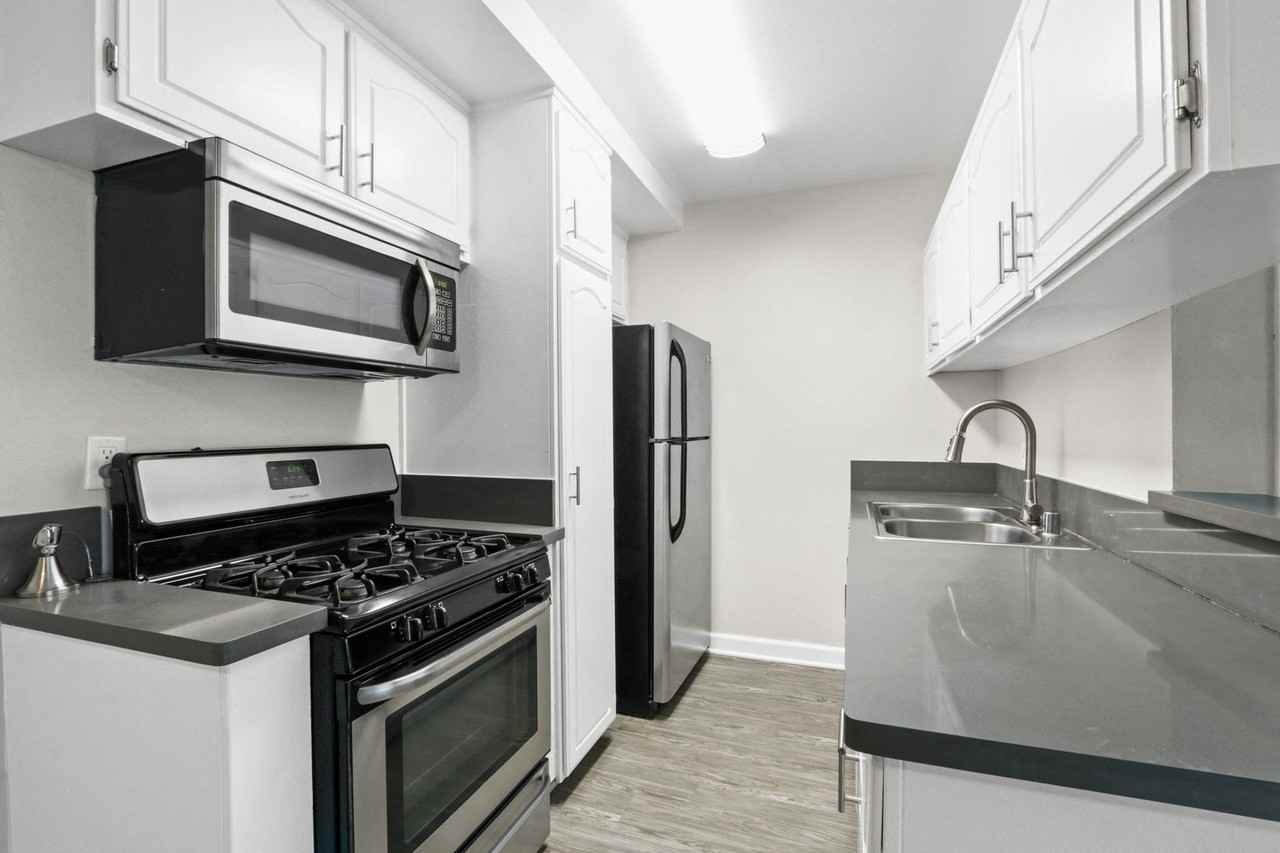 Magnolia - Photo 2 of 67