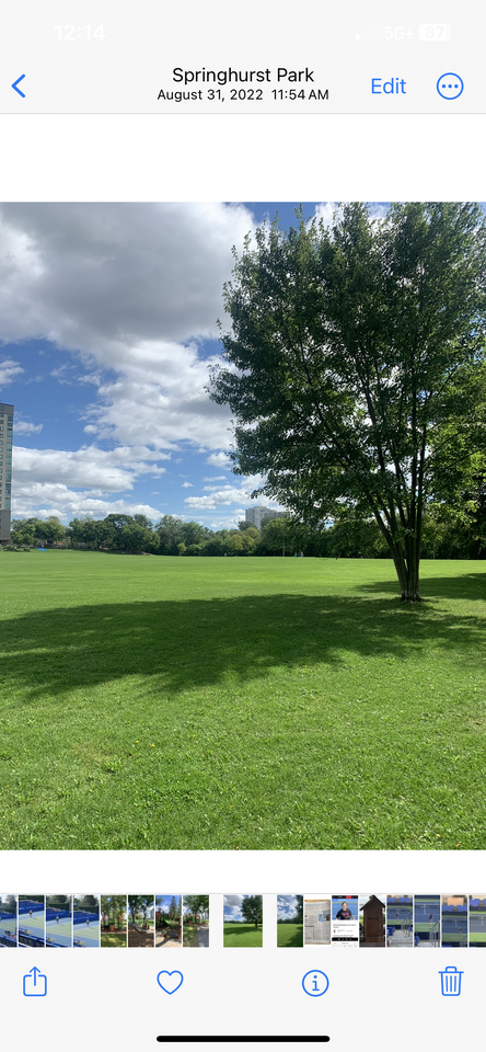 3 Chestnut Street - Photo 5 of 22