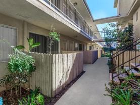3910 Emerald St - Photo 1 of 1