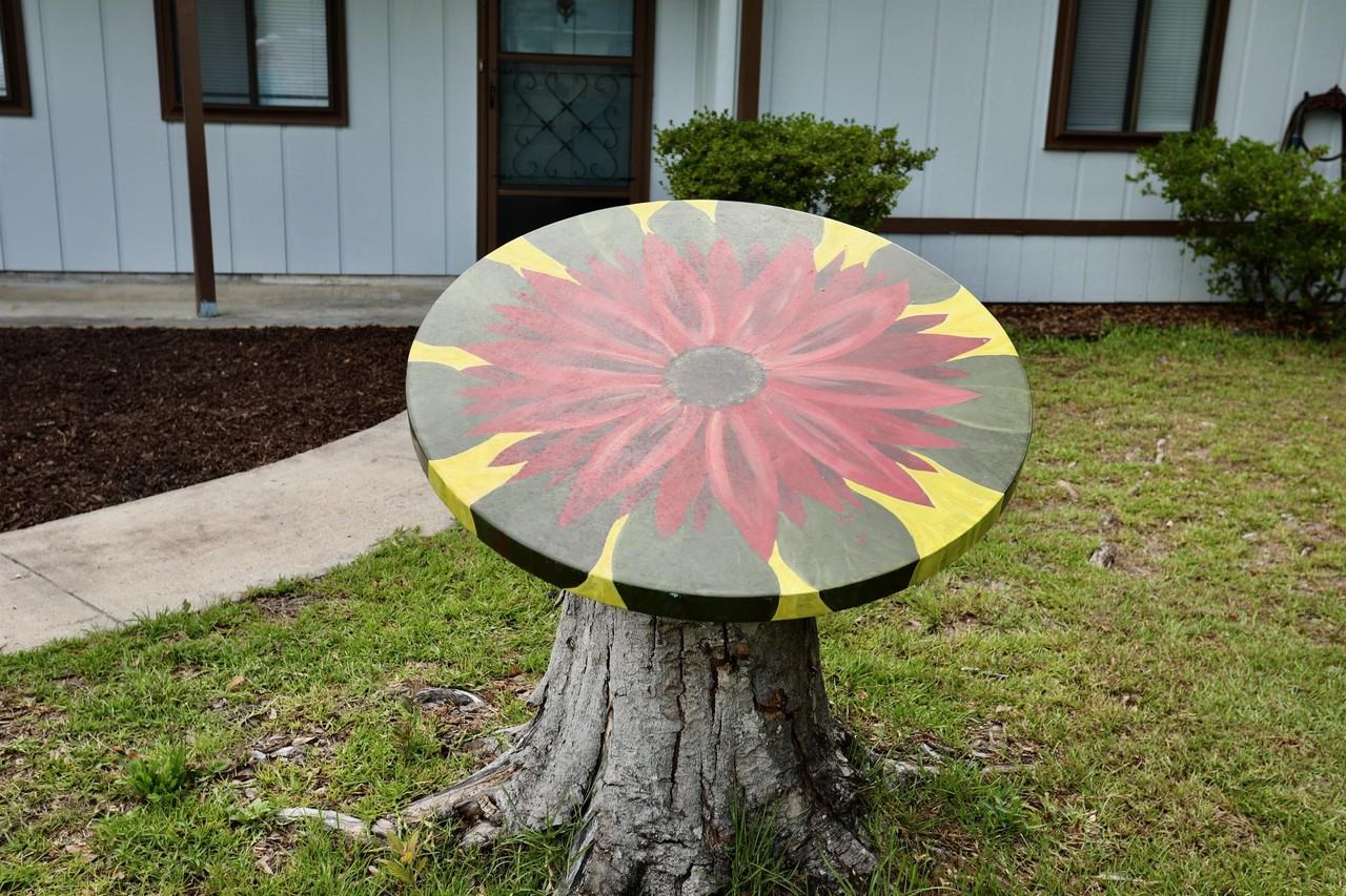 209 Honey Lane Cir - Photo 3 of 23