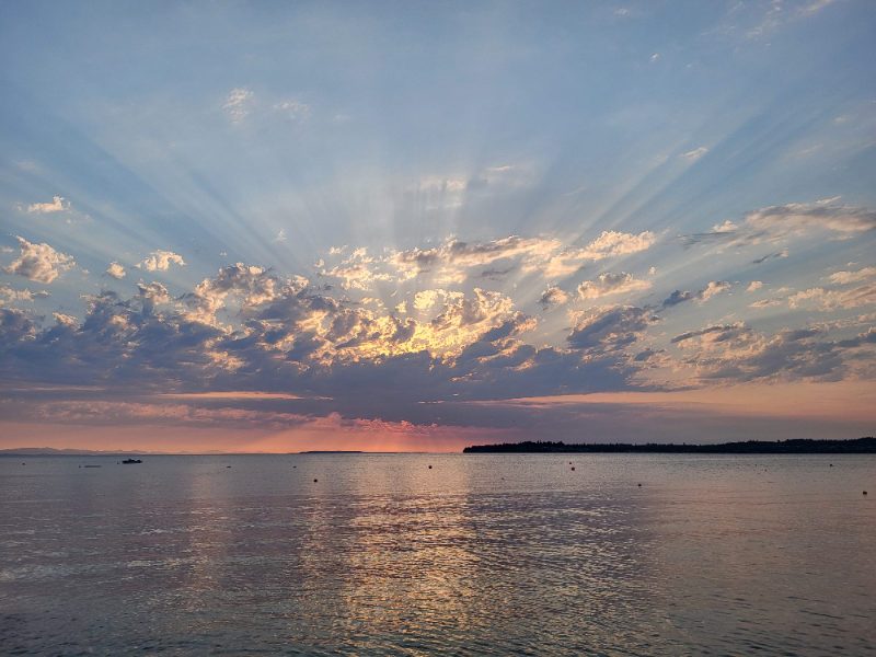 7398 Birch Bay Dr #4