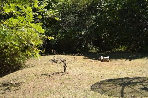 628 Tathams Creek Rd - Photo 3 of 6