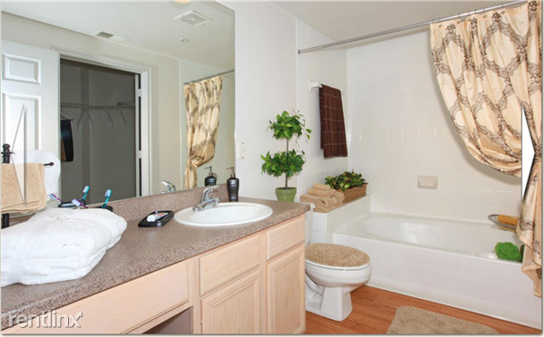 3305 Calle Cuervo - Photo 3 of 8