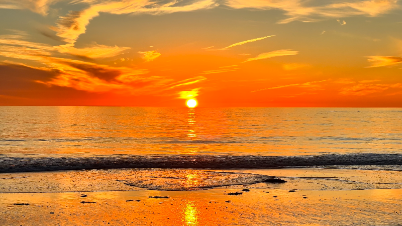 2995 Calle Gaucho #A - Photo 7 of 7