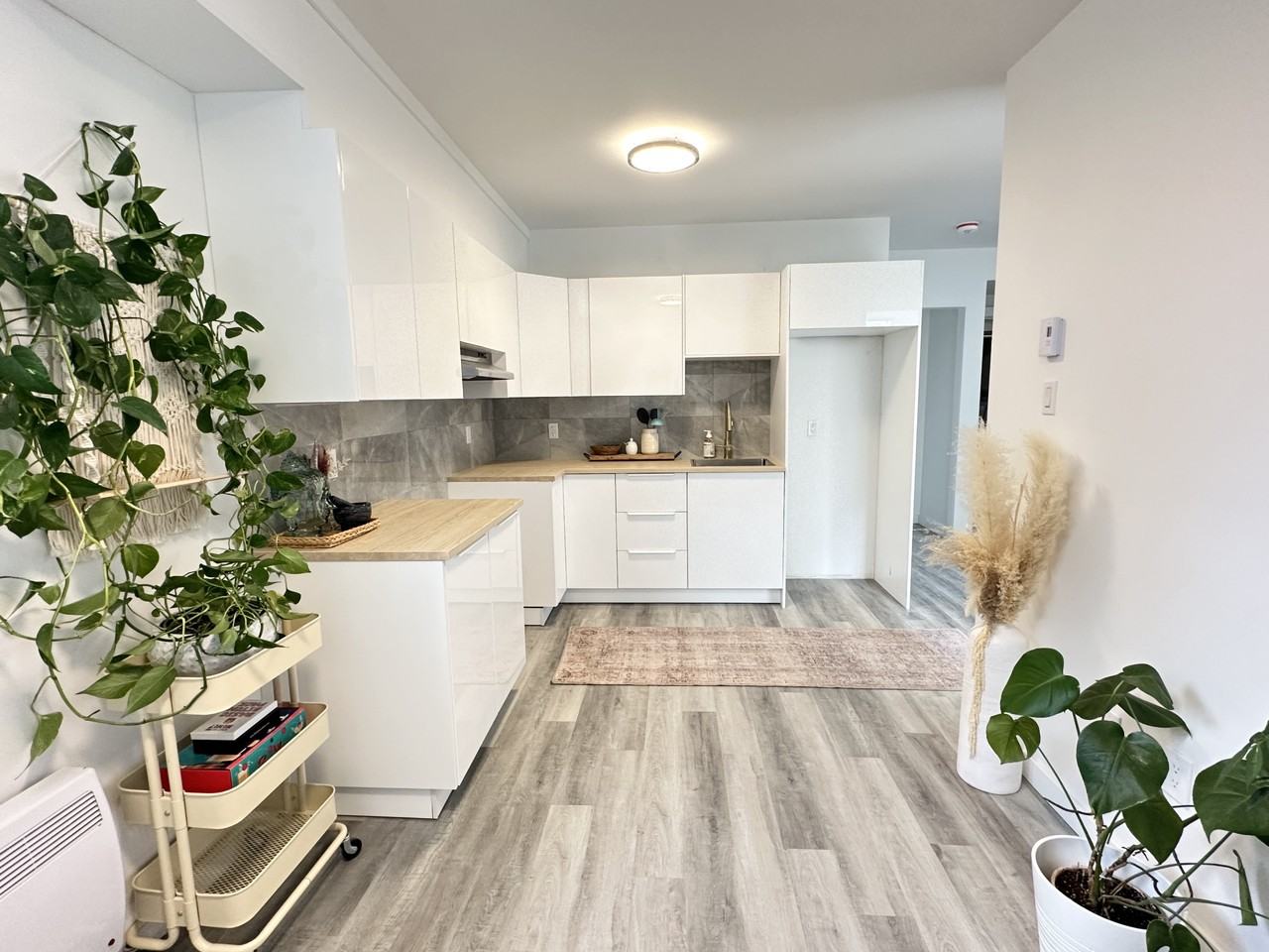 268 Currell Avenue #B - Photo 3 of 12