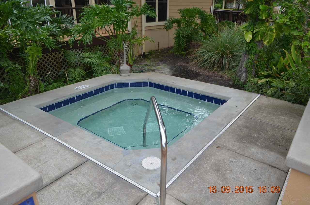 1401 S Palmetto Ave #211 - Photo 3 of 20