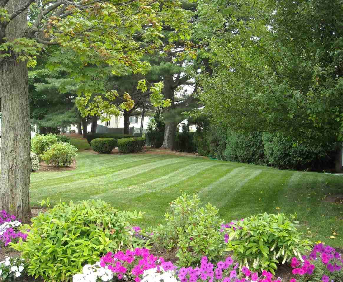 Brandywyne Village - Photo 5 of 26