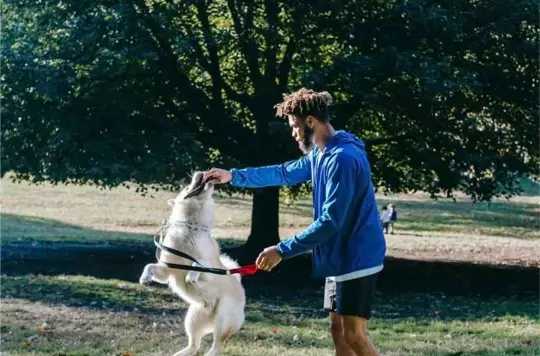 CARDINAL GROUP INVESTMENTS, LLC 4 of 4