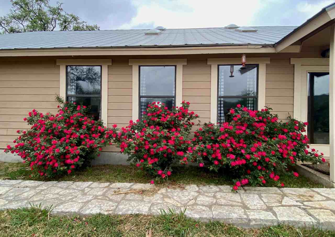 250 Green Oak Dr #NA - Photo 2 of 9