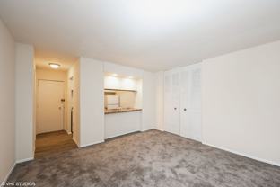 Lincoln Park Living! - Photo 1 of 1