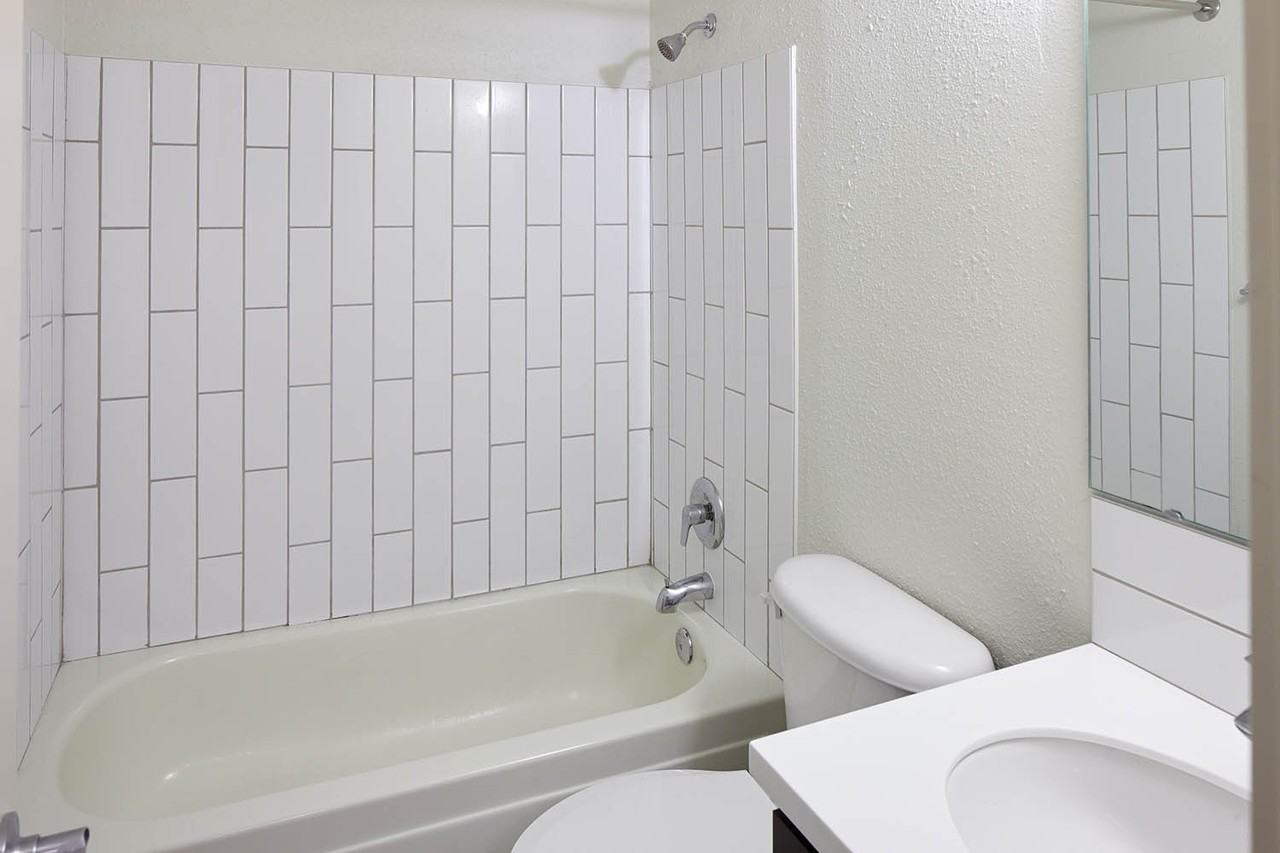 Alexander - Photo 7 of 36