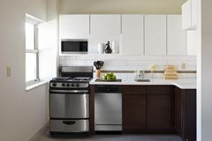 Cleopatra - Photo 1 of 1