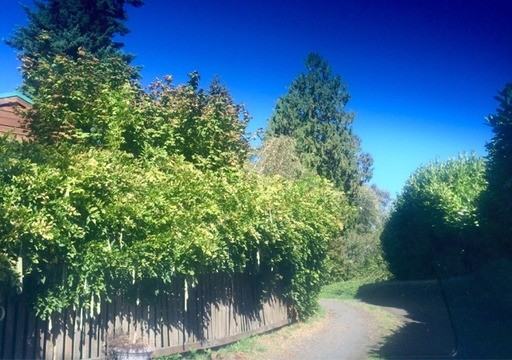 330 Eagle Pl NE - Photo 2 of 14