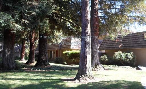 4750 Clear River Ct - Photo 2 of 12