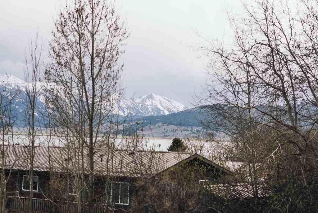 3907 Canyon Road - Photo 3 of 15