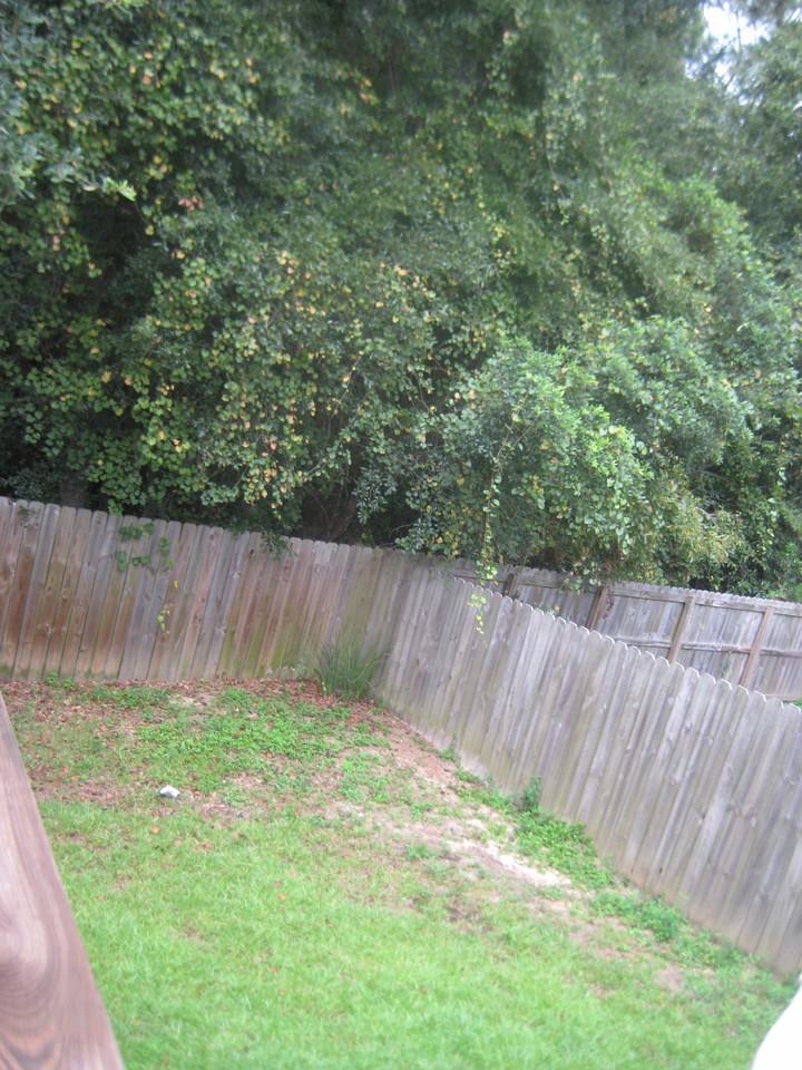 6380 Mers Ln - Photo 3 of 21