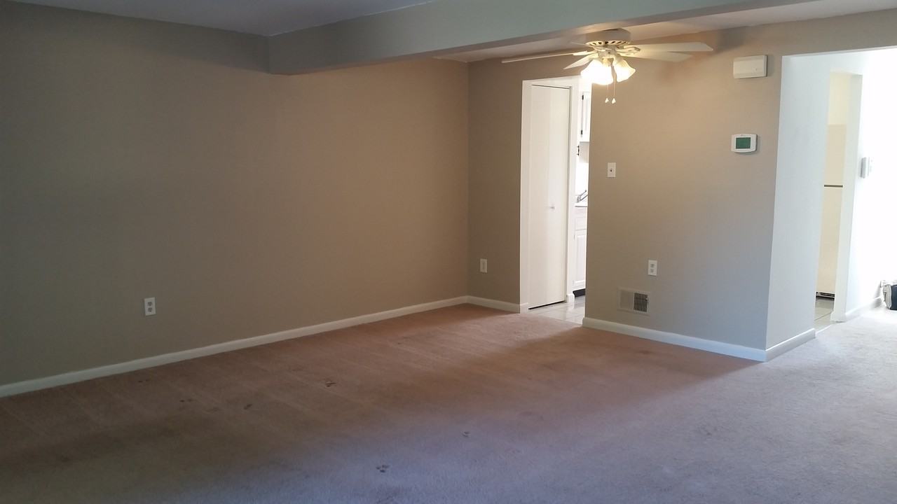 506 Holly Hunt Rd - Photo 3 of 11