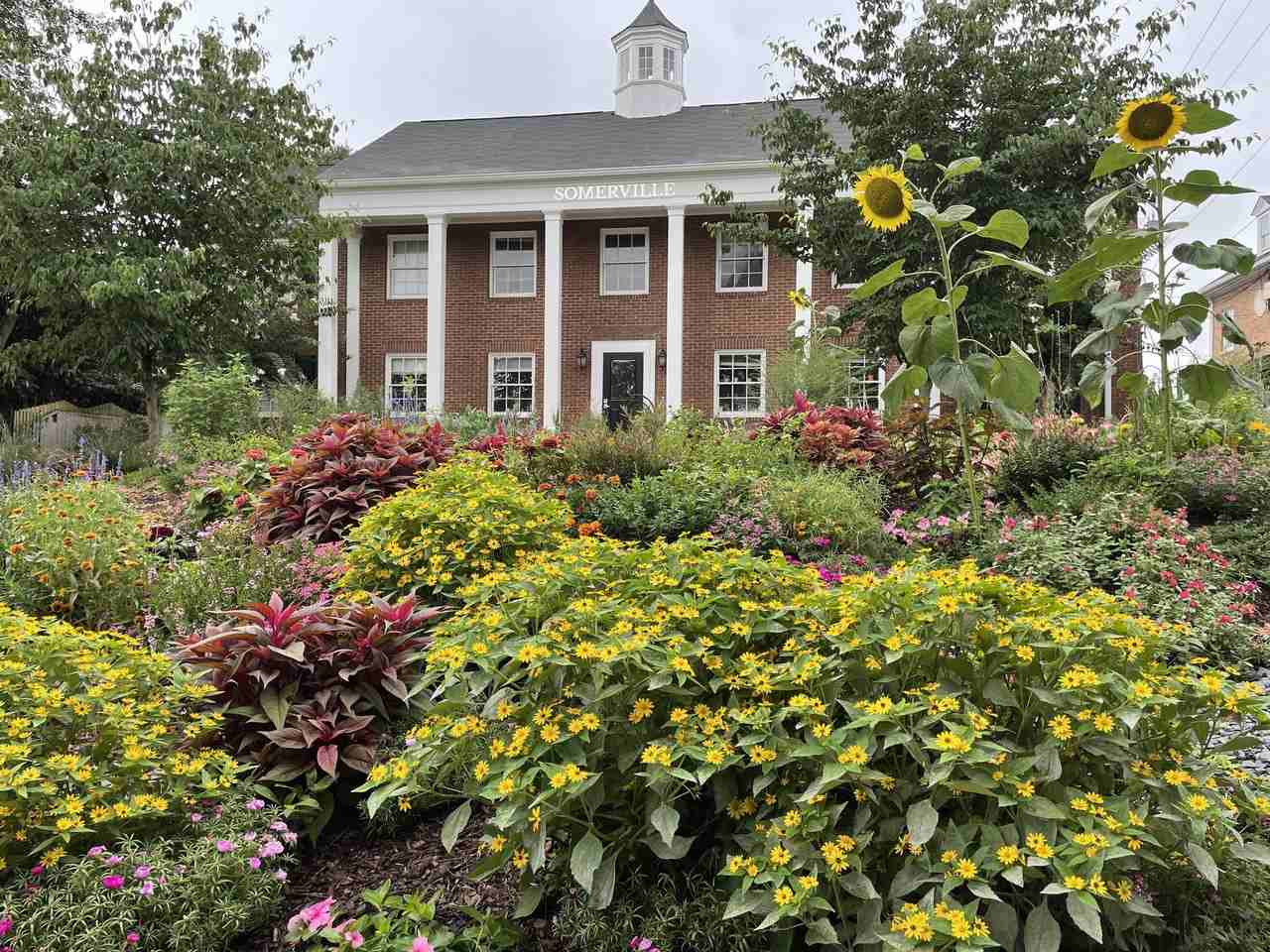 Somerville Apartments 480 S Milledge Ave, Athens, GA 30605 Zumper