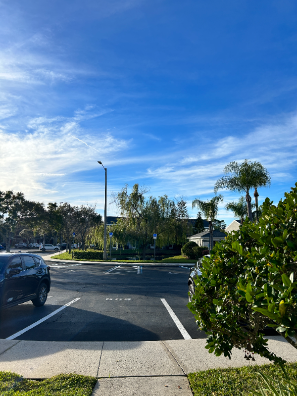 211 Countryside Key Blvd - Photo 2 of 18