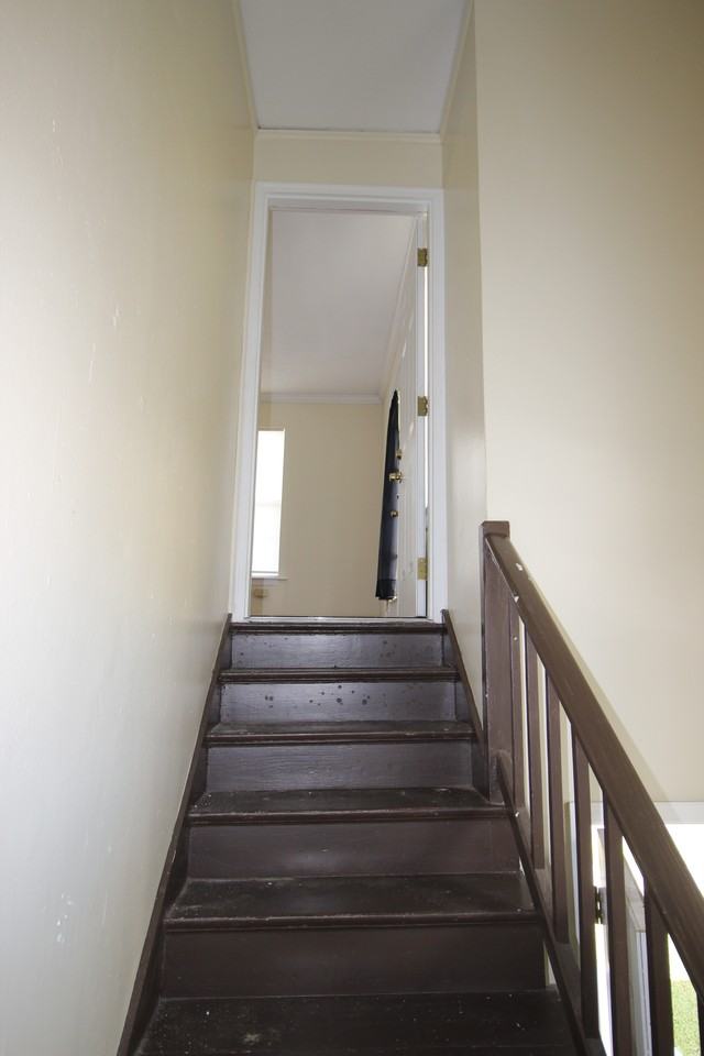 1546 Harrison Ave #1546 - Photo 3 of 14