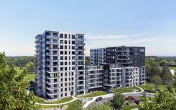 Consolata - Photo 1 of 1