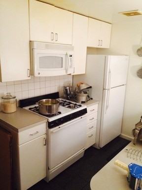 287 4th Ave - Photo 3 of 4