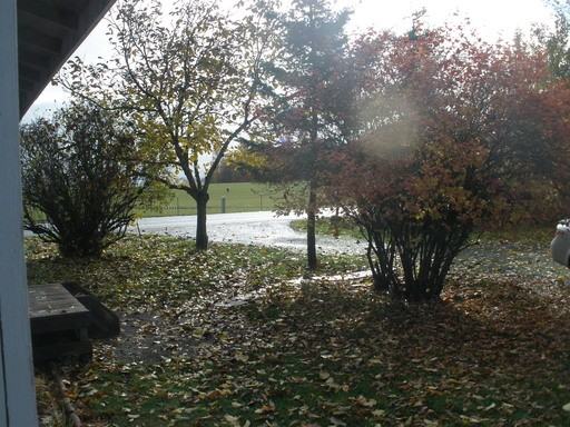 93250 Alvadore Rd - Photo 2 of 11